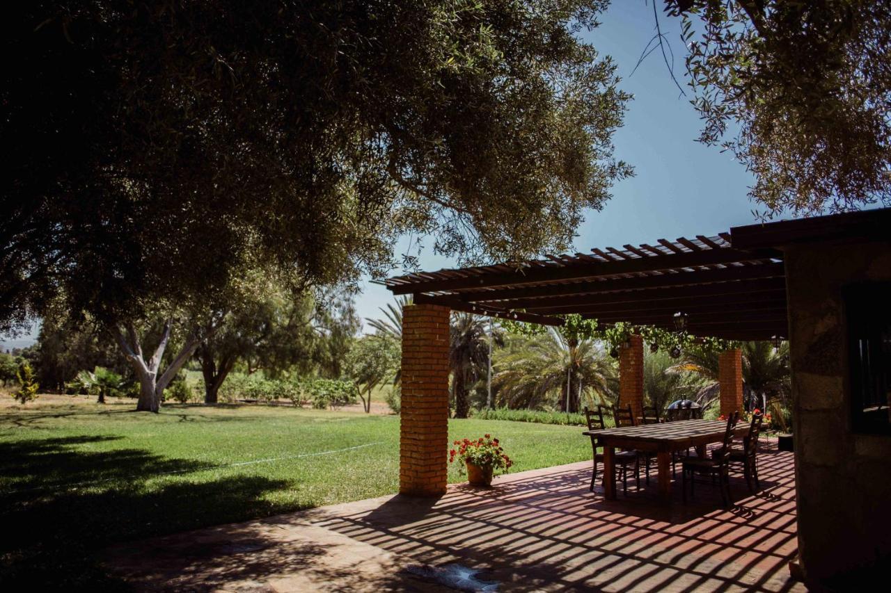 Rancho Toros Pintos Villa Valle de Guadalupe Bagian luar foto