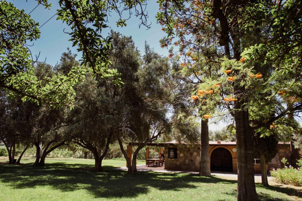 Rancho Toros Pintos Villa Valle de Guadalupe Bagian luar foto